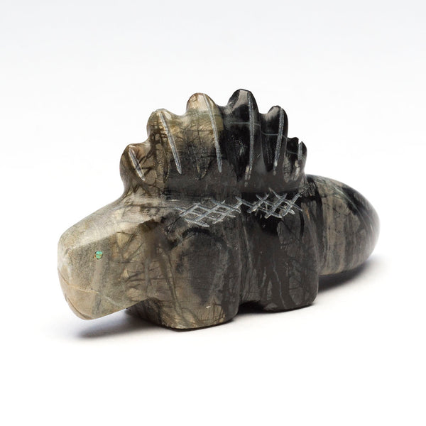 Carnivorous Dimetrodon