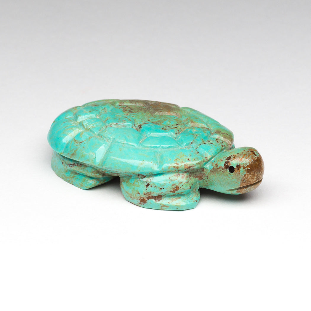 #8 Mine Turquoise Turtle