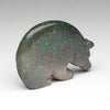 Aurora Borealis Bear