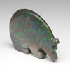 Aurora Borealis Bear
