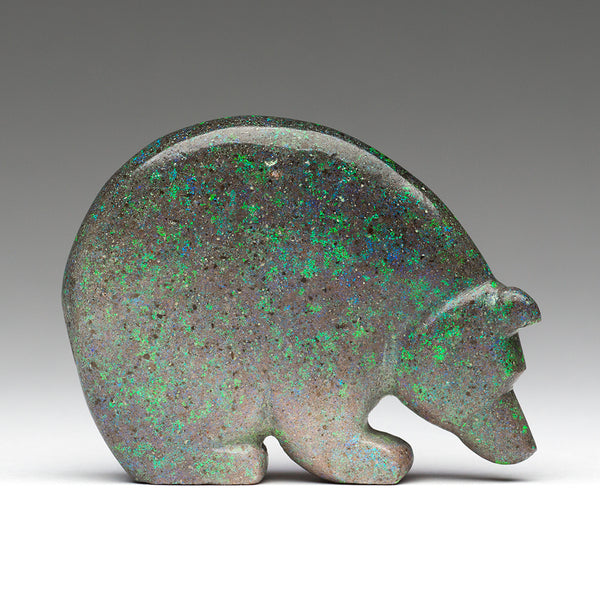Aurora Borealis Bear