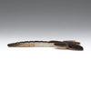 Aquatic Beginnings Dragonfly