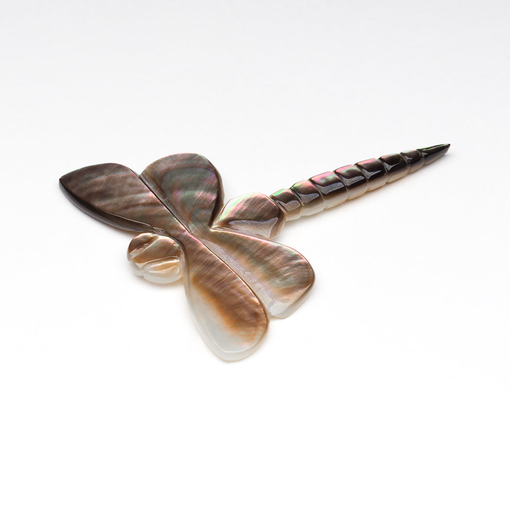 Aquatic Beginnings Dragonfly