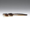 Aquatic Beginnings Dragonfly
