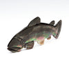 Darting Trout