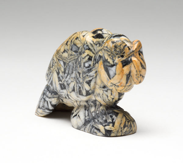 Canadian Pinolith Owl