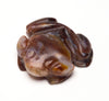 Cleansing Fire Agate Frog
