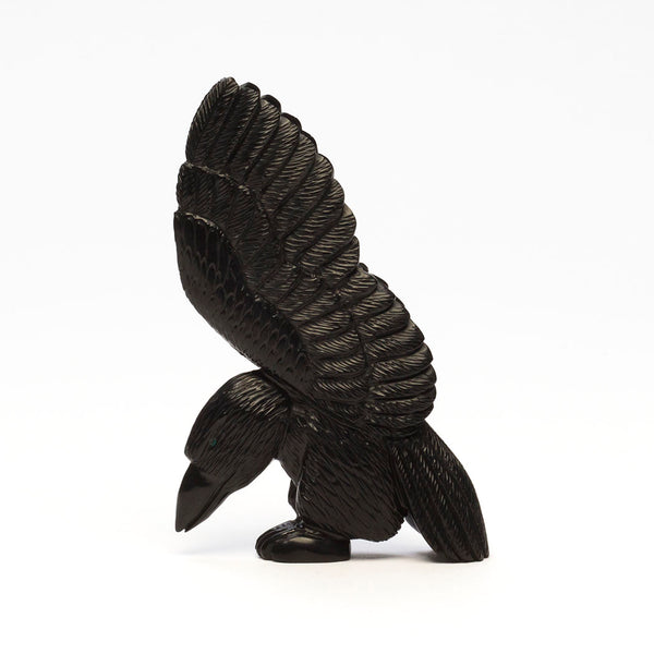 Mighty-Winged Corvid