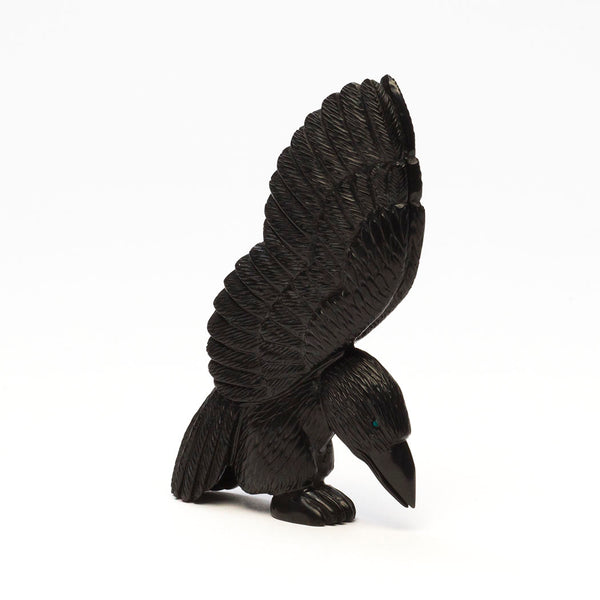 Mighty-Winged Corvid