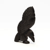 Mighty-Winged Corvid