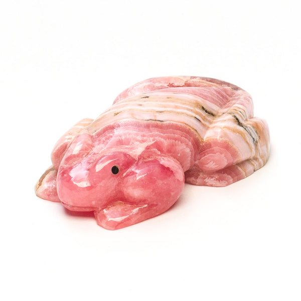 Artesian Spring Frog