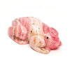 Artesian Spring Frog