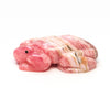 Artesian Spring Frog