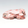 Clean Water Frog