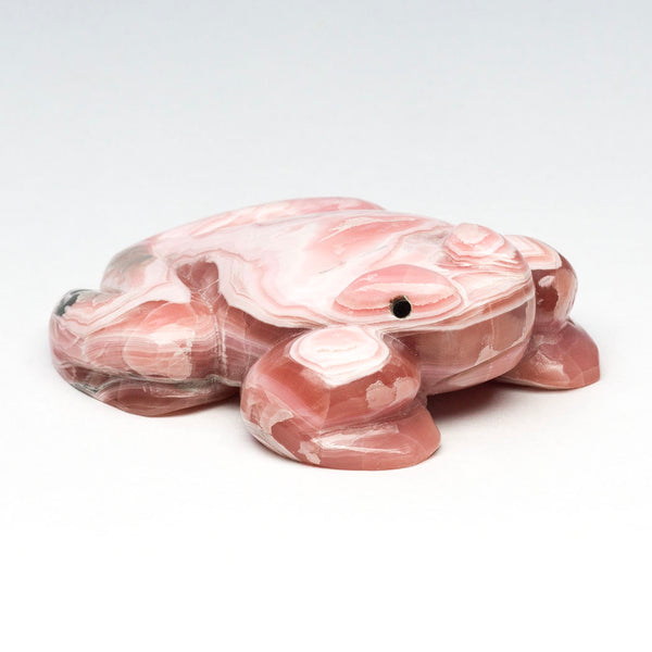 Clean Water Frog