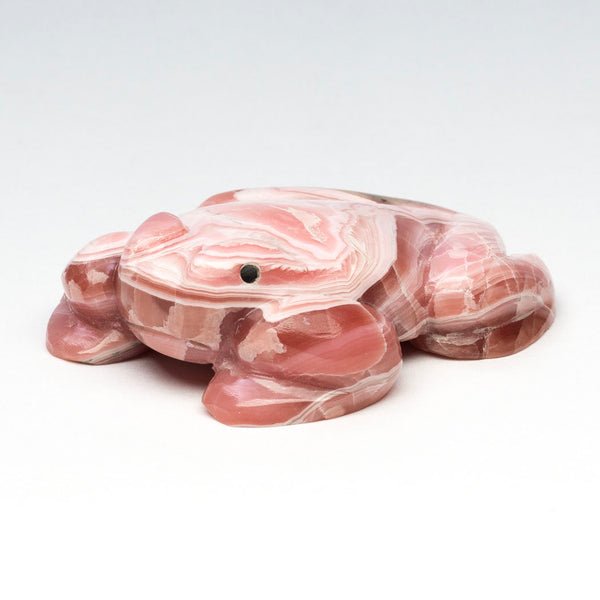 Clean Water Frog