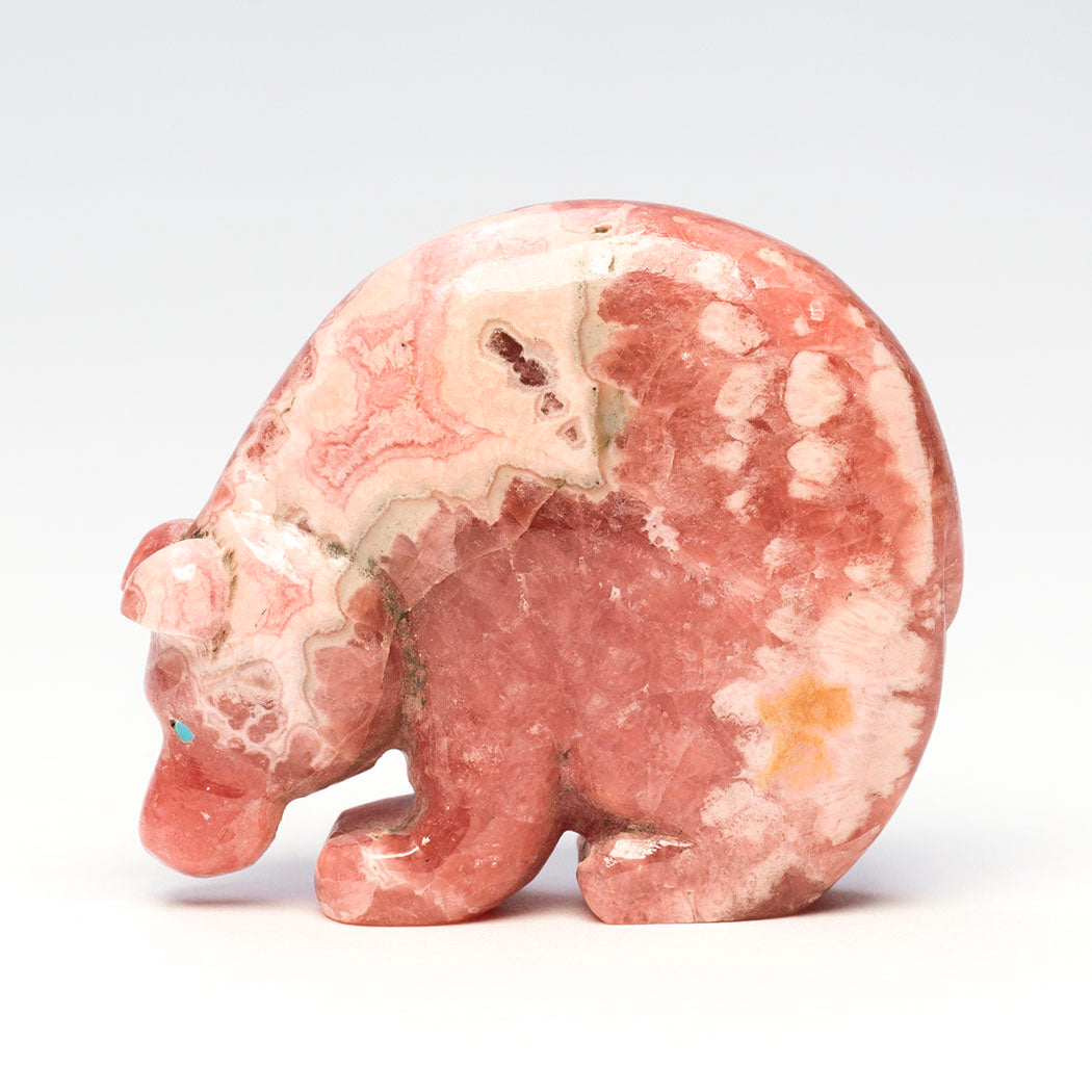 Healing Hues Medicine Bear