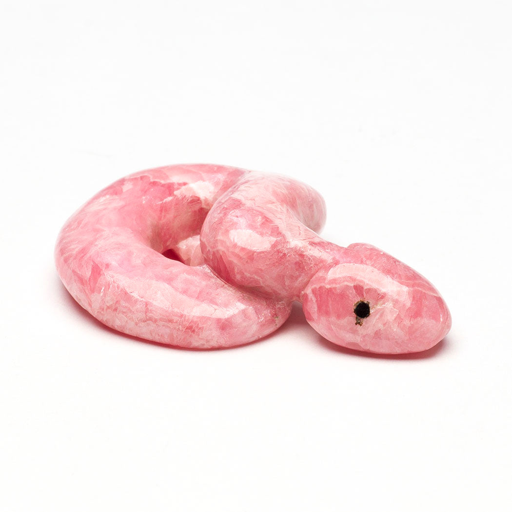 Pretty In Pink Rattlesnake