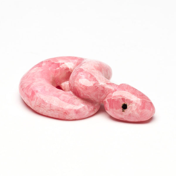 Pretty In Pink Rattlesnake
