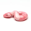 Pretty In Pink Rattlesnake