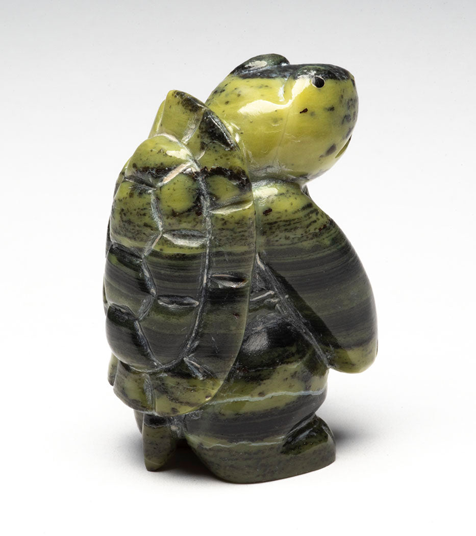 Turtle Timekeeper