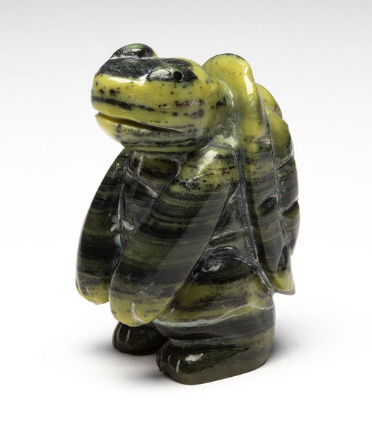 Turtle Timekeeper