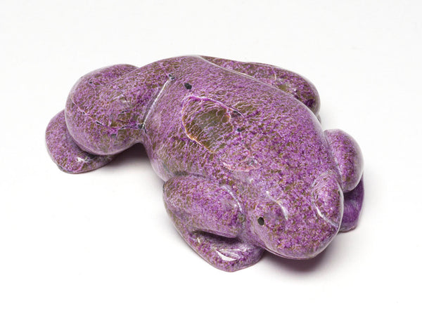 Leapfrog