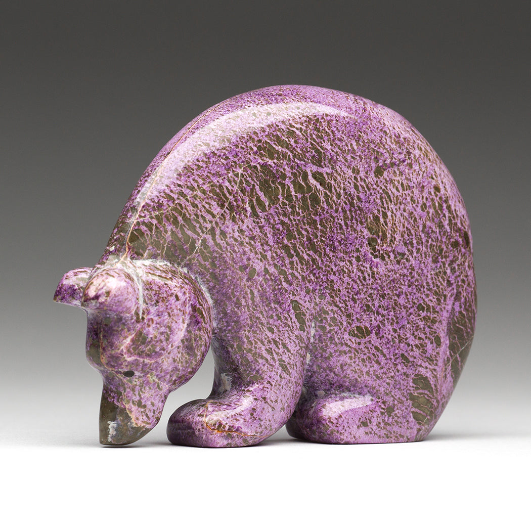 Healing The Heart & Mind Medicine Bear