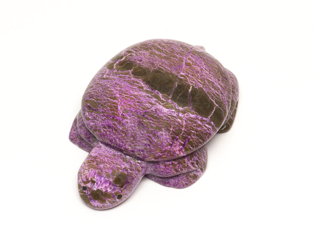 Chatoyant Stichtite Turtle