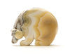 Zebra Onyx Medicine Bear