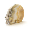 Zebra Onyx Medicine Bear