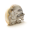 Zebra Onyx Medicine Bear