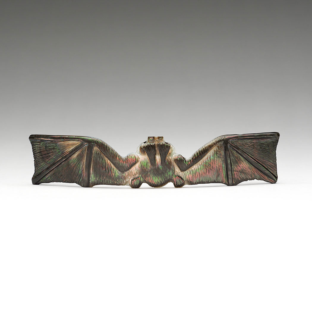 Bat Pollinator