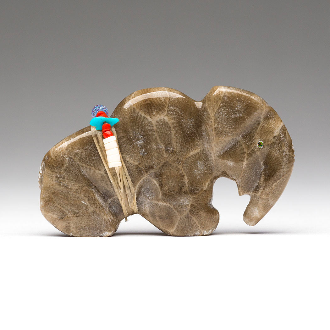 Ancient Petoskey Elephant