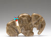 Ancient Petoskey Elephant