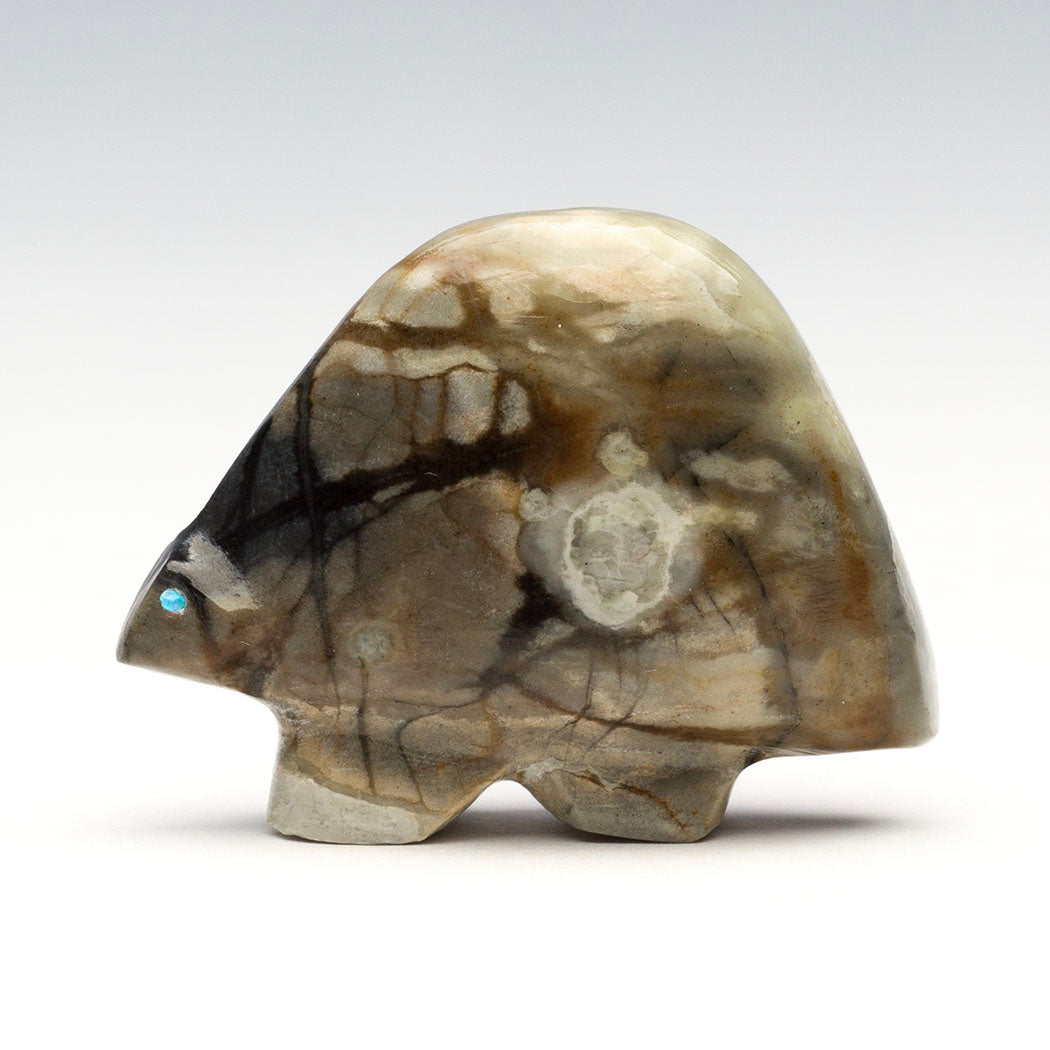 Turtle Inside A Turtle