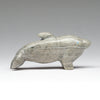Playing Games Dolphin