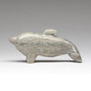 Playing Games Dolphin
