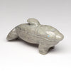 Playing Games Dolphin
