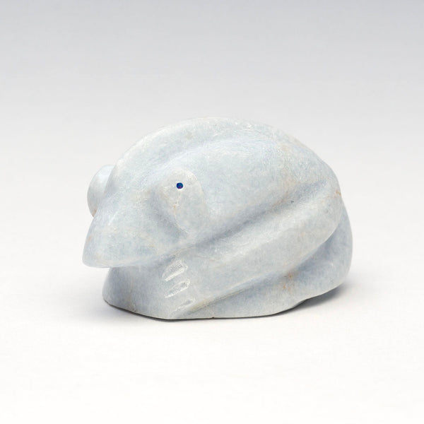 Panoramic Observer Chameleon