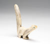 Energetic Squirrel