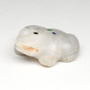Living Ice Frog