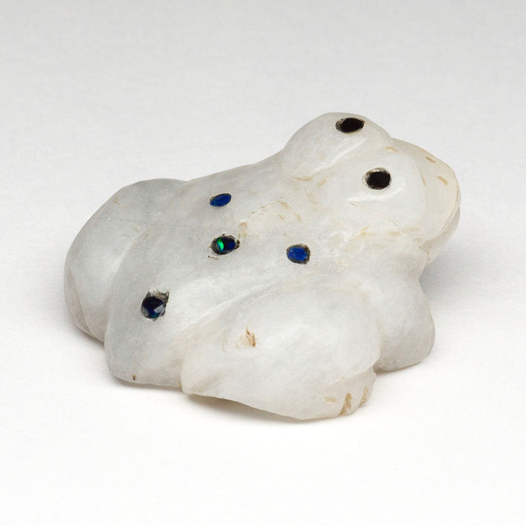 Living Ice Frog