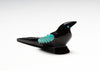 Raspy Chatter Magpie