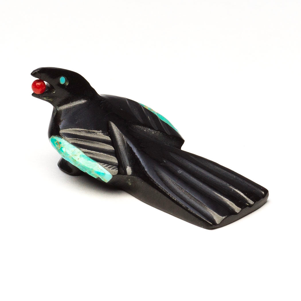 Chatterbox Magpie
