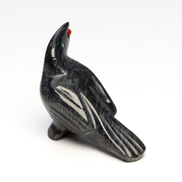 Raven The Airborne Marvel