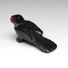 Harvest Companion Raven