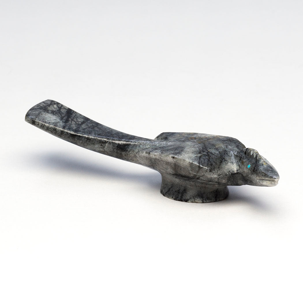 Enchanting Roadrunner