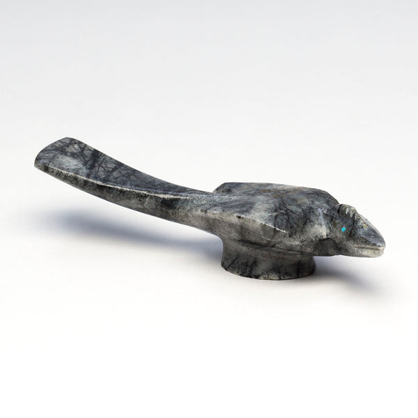 Enchanting Roadrunner