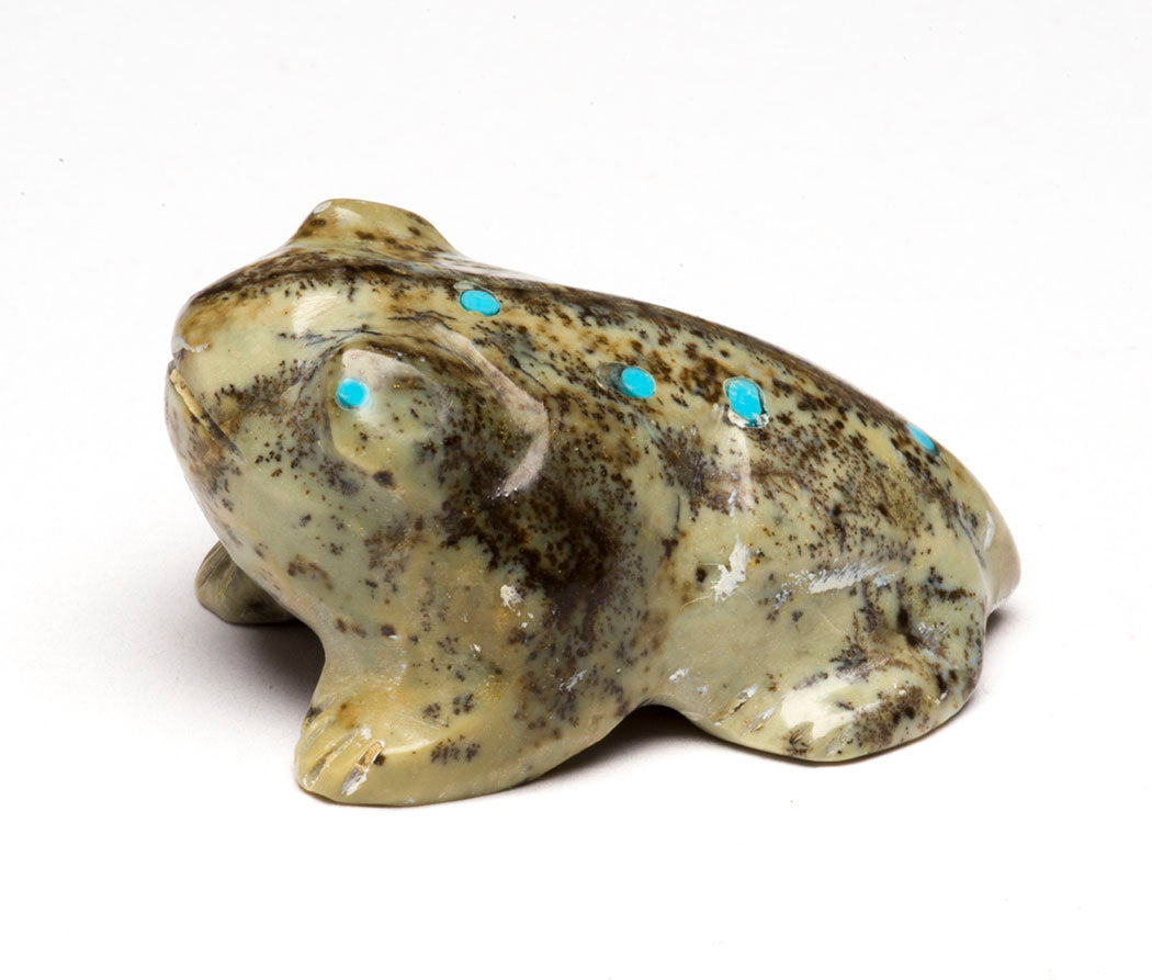 Standing Rock Frog